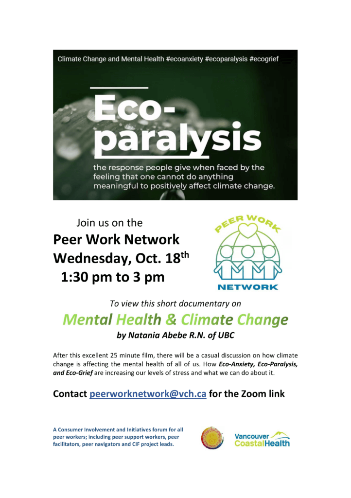 Peer Work Network Meeting - Wednesday October 18 2023 at 1:30 pm
