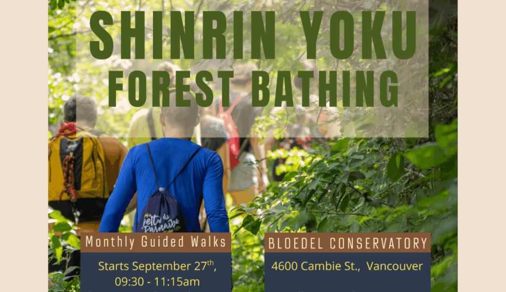 Shinrin Yoku Forest Bathing - starts Sep 27th!