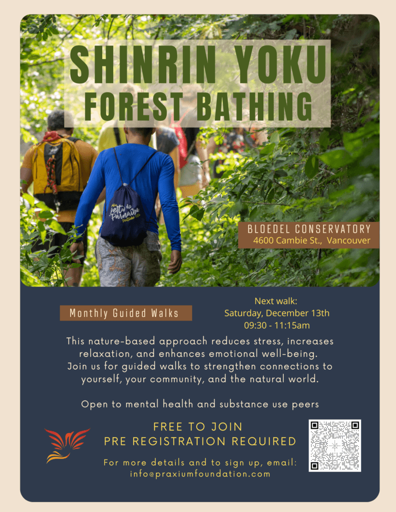 Shinrin Yoku (Forest Bathing) Guided Walk Dec 13th!
