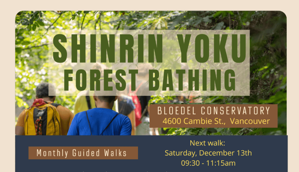 Shinrin Yoku (Forest Bathing) Guided Walk Dec 13th!