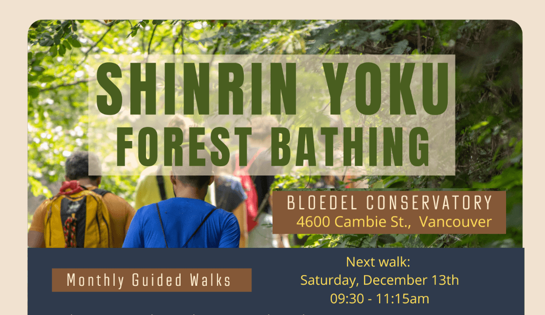 Shinrin Yoku (Forest Bathing) Guided Walk Dec 13th!