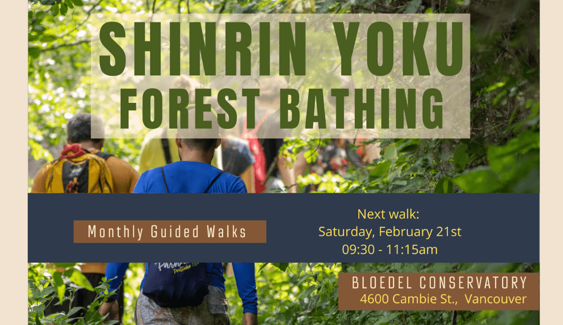 Last Event Feb 21st! Shinrin Yoku (Forest Bathing) Guided Walk