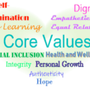 Call for Applications VCH PEER SUPPORT TRAINING PROGRAM